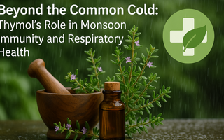 Beyond the Common Cold: Thymol’s Role in Monsoon Immunity and Respiratory Health