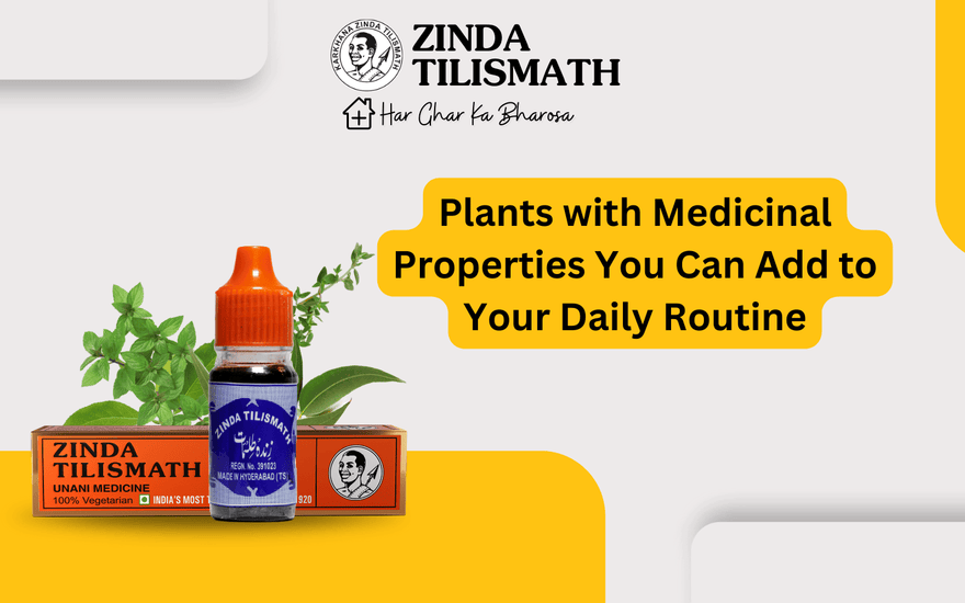 Plants with Medicinal Properties You Can Add to Your Daily Routine