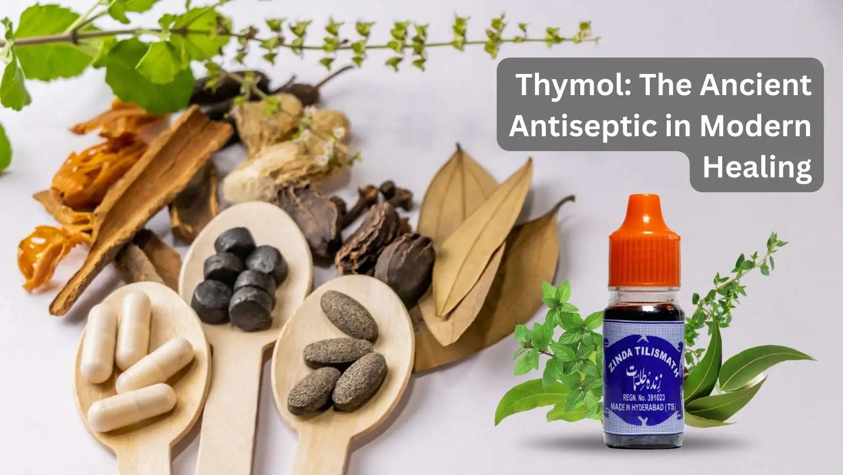 Thymol: The Ancient Antiseptic in Modern Healing