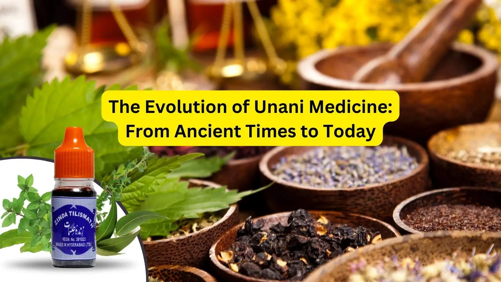 The Evolution of Unani Medicine: From Ancient Times to Today
