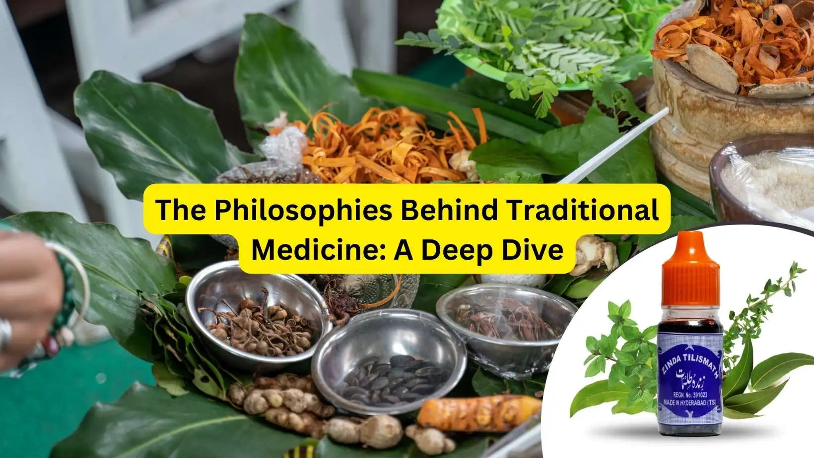 The Philosophies Behind Traditional Medicine: A Deep Dive