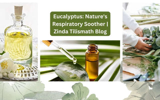 The Power of Eucalyptus: Nature's Respiratory Soother