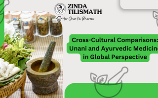 Cross-Cultural Comparisons: Unani and Ayurvedic Medicine in Global Perspective