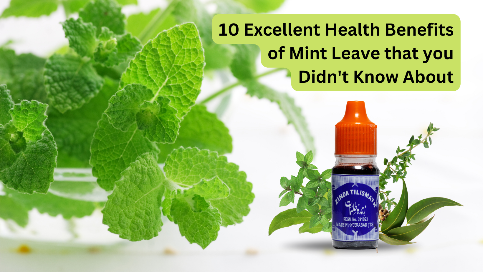 10 excellent health benefits of mint leave that you didn't know about