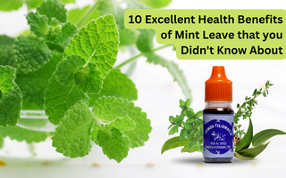 10 excellent health benefits of mint leave that you didn't know about