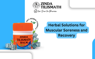 Herbal Solutions for Muscular Soreness and Recovery
