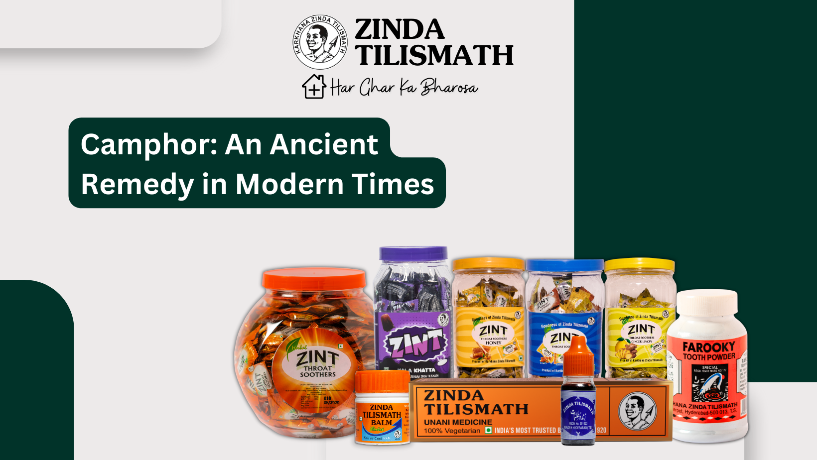 Camphor Bridging Ancient Wisdom and Modern Wellness Zinda Tilismath